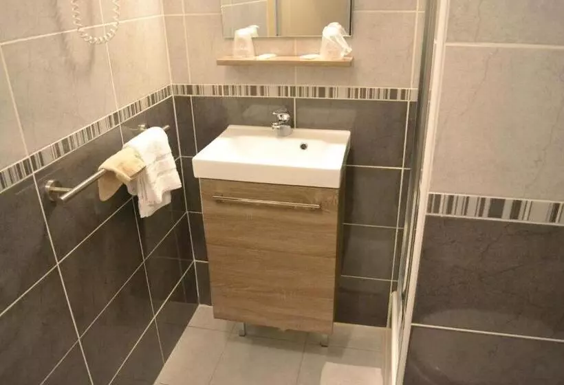 スタンダードシングルルーム, Logis Hôtel Le Carnot