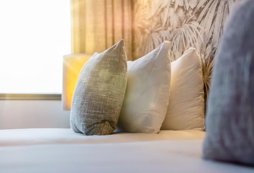 Номер Стандарт, Stayen