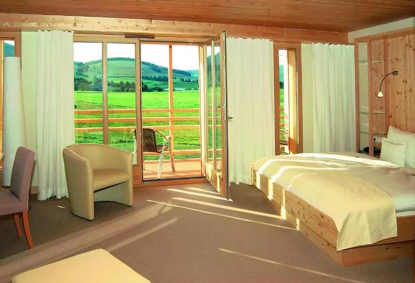 スーペリアールーム, Natur & Wellnesshotel Breggers Schwanen   Bernau Im Schwarzwald