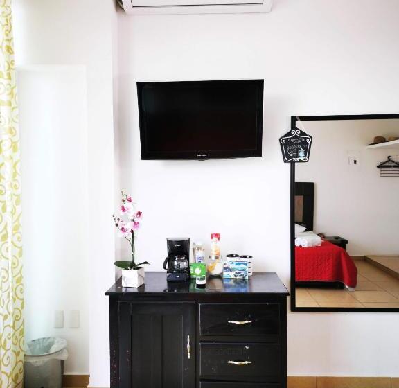 스탠다드 테라스 룸, La Terraza