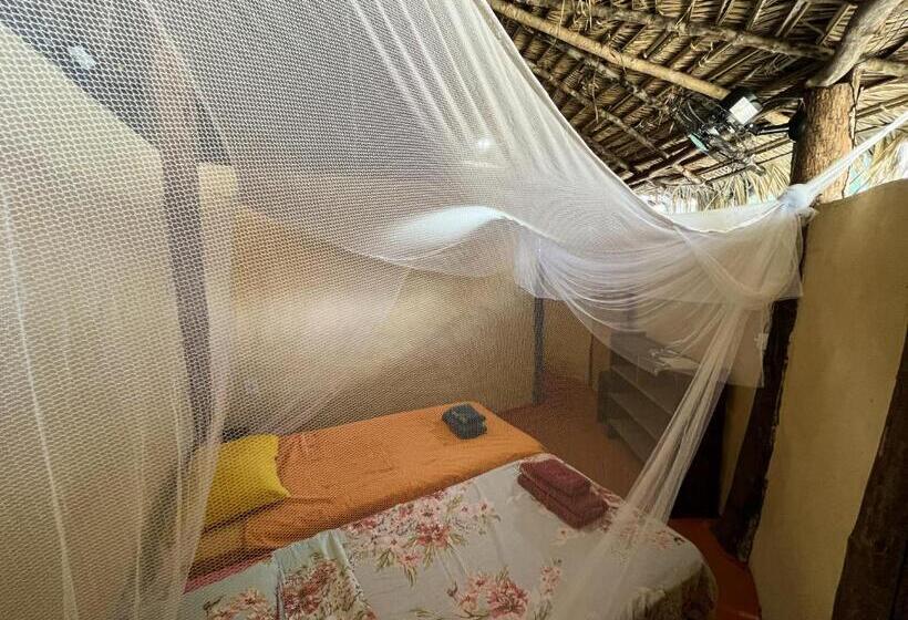 سرير فى غرفة مشتركه, Hostel Moreré