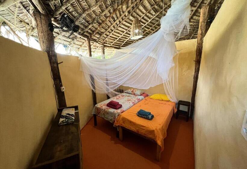 سرير فى غرفة مشتركه, Hostel Moreré