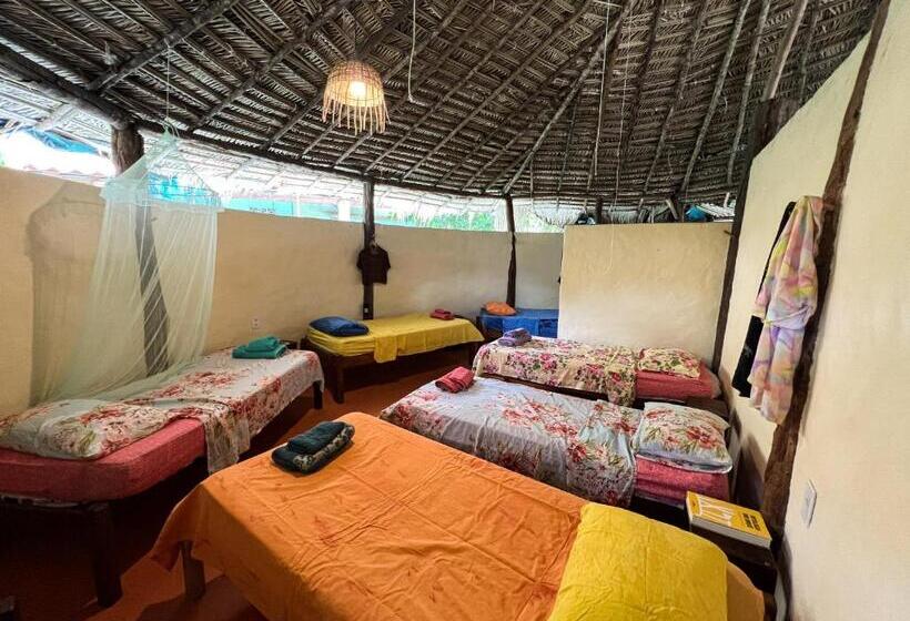 سرير فى غرفة مشتركه, Hostel Moreré