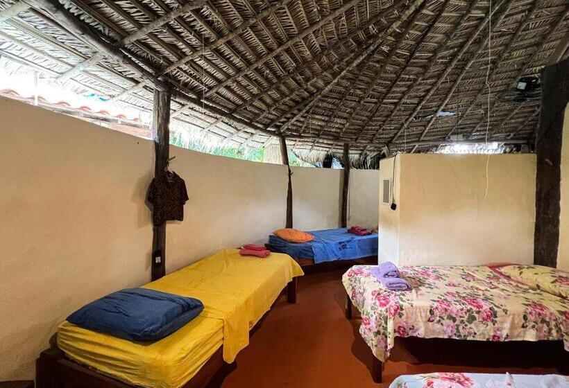 سرير فى غرفة مشتركه, Hostel Moreré