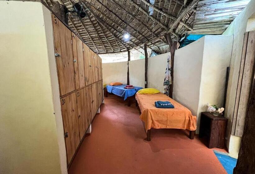 سرير فى غرفة مشتركه, Hostel Moreré