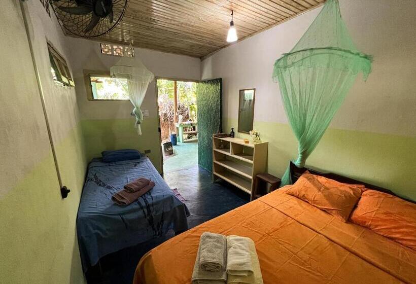 غرفة قياسية, Hostel Moreré