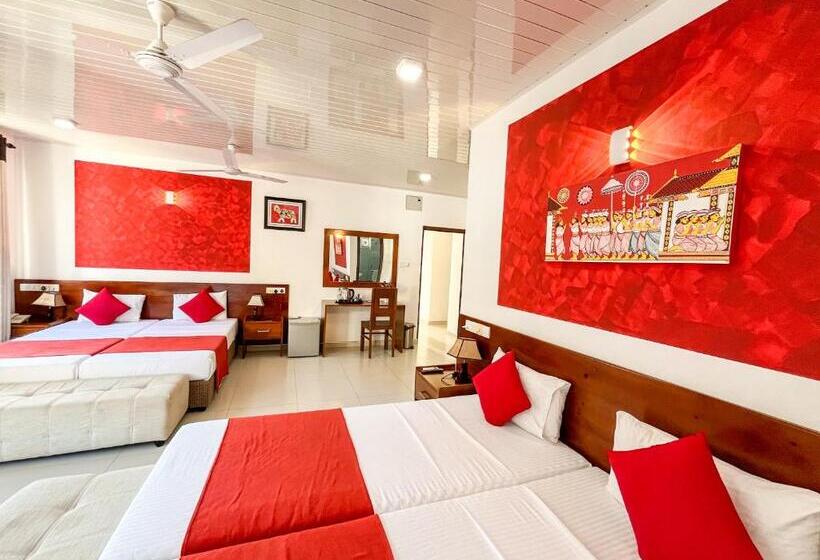 חדר סופריור לארבעה, My City