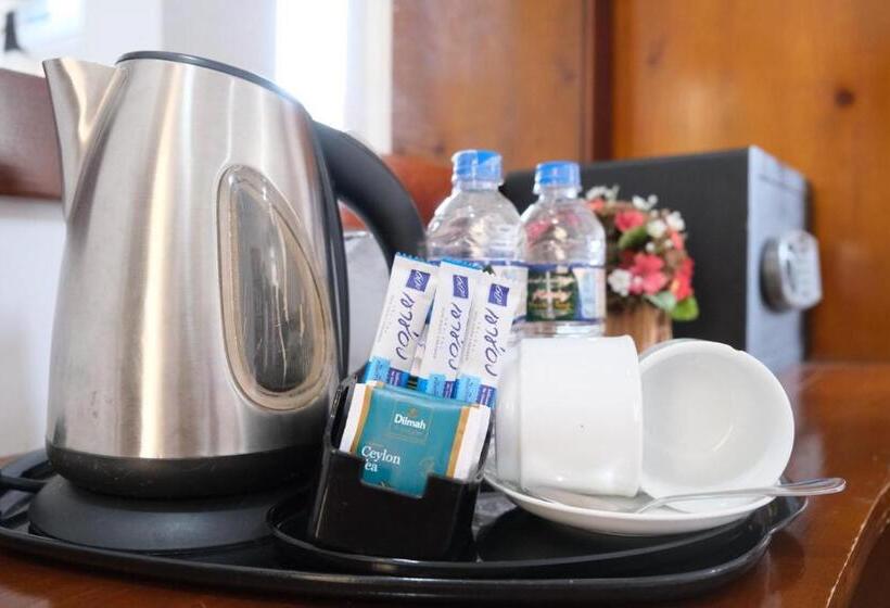 חדר משפחתי דלוקס, My City