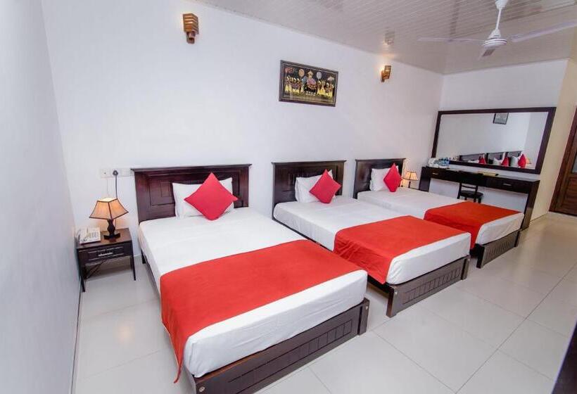 חדר משפחתי, My City