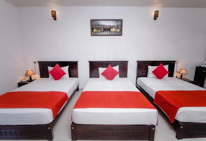 חדר משפחתי, My City