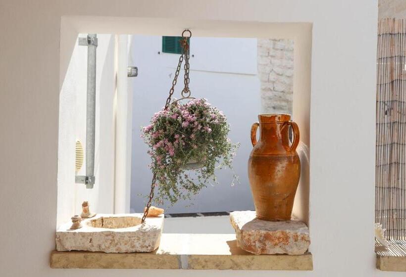Quarto Estandar, Terracielo Guest House