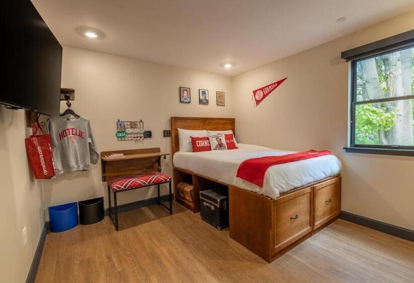 غرفة قياسية, The Dorm