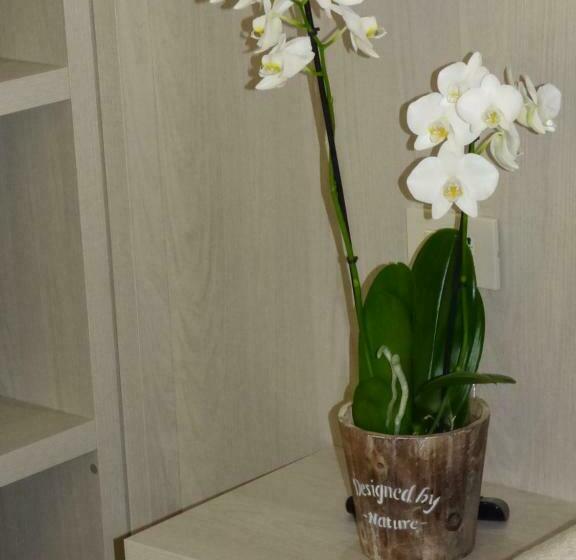 经济房, Design Hotel Astra B&b