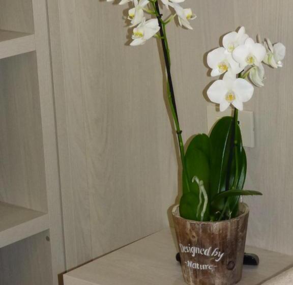 带海景的标准房, Design Hotel Astra B&b