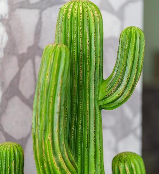 高级三人间, Design Hotel Astra B&b