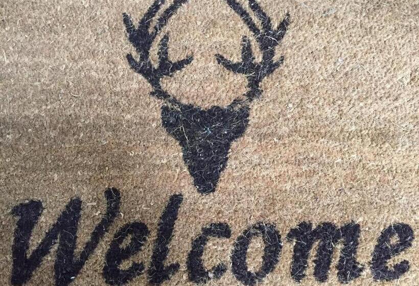 Люкс, Alpenhof Postillion