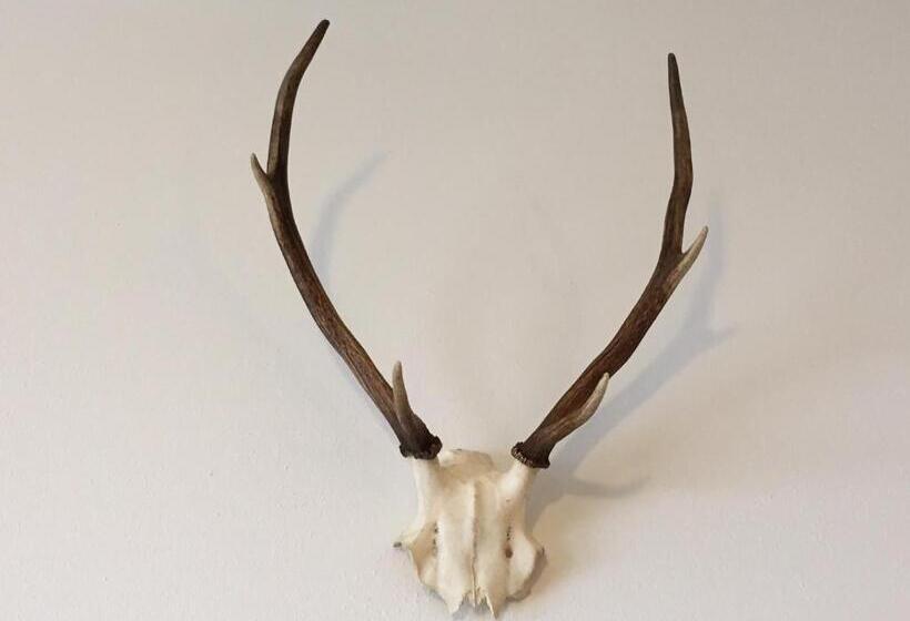 Люкс, Alpenhof Postillion