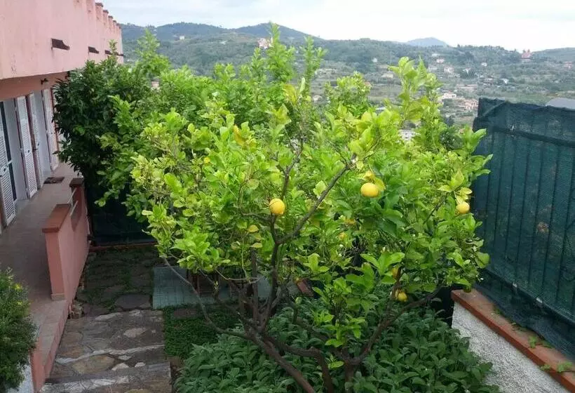 آپارتمان 1 خوابه با چشم‌انداز دریا, Azienda Agrituristica Villa Arianna