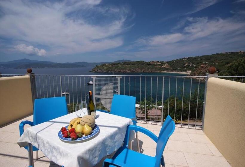 高级海景房, Dino