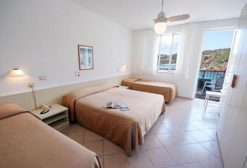 带阳台标准四人间, Dino