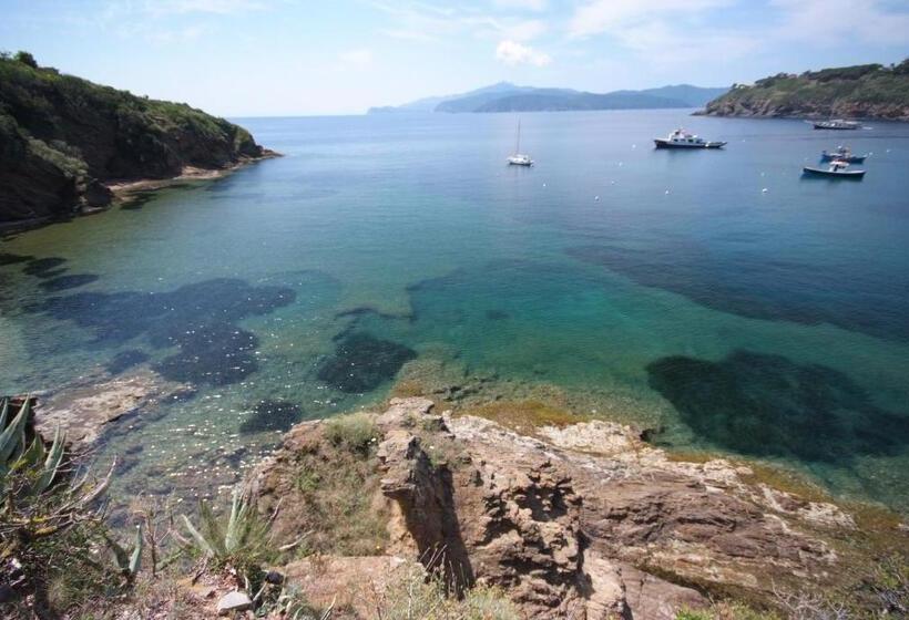 标准三人间, Dino