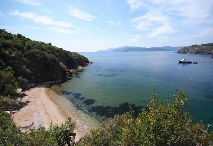 标准三人间, Dino