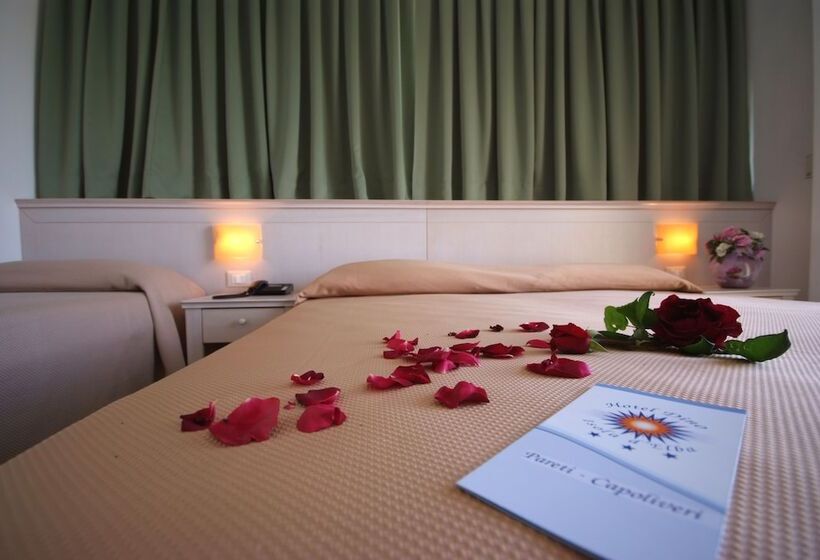 带海景的标准房, Dino