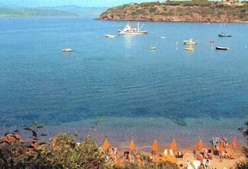 高级海景房, Dino