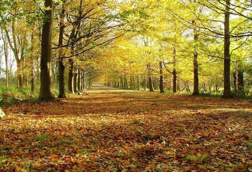 غرفة ديلوكس, Fletcher Landgoedhotel Renesse