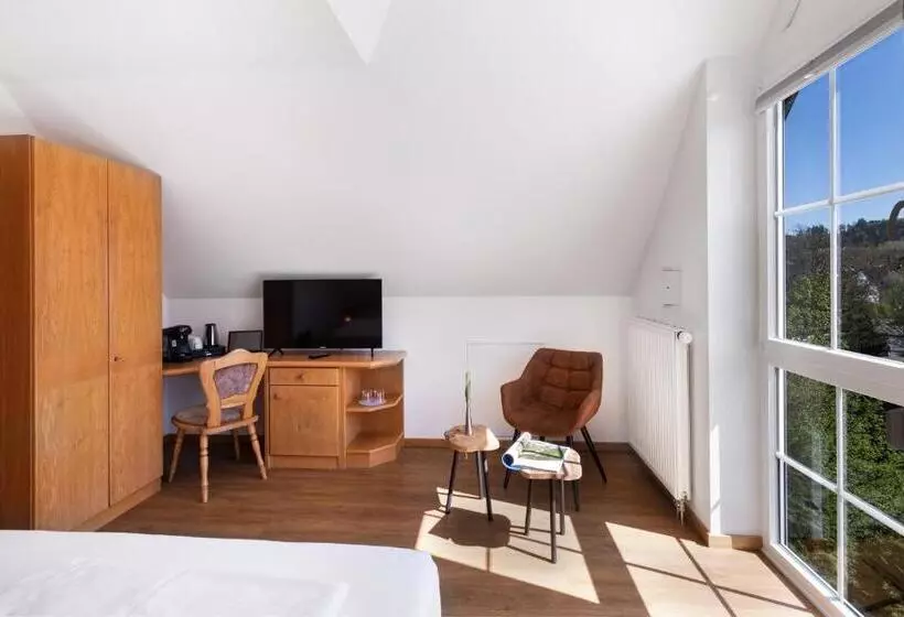 コンフォートルーム, Bodensee Hotel Storchen
