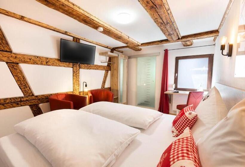 스탠다드 룸, Bodensee Hotel Storchen