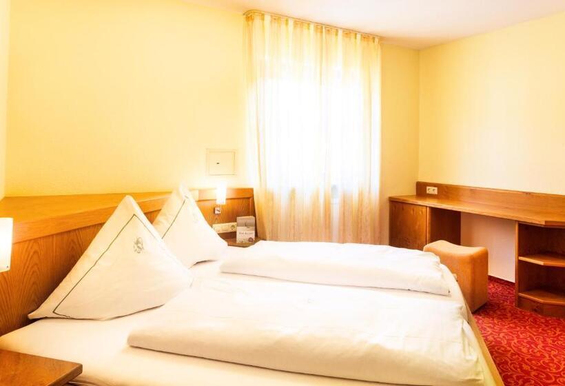 Quarto standard, Bodensee Hotel Storchen