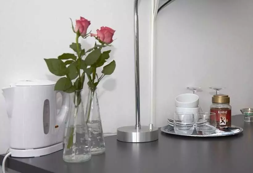 Standard Single Room, Gudenå