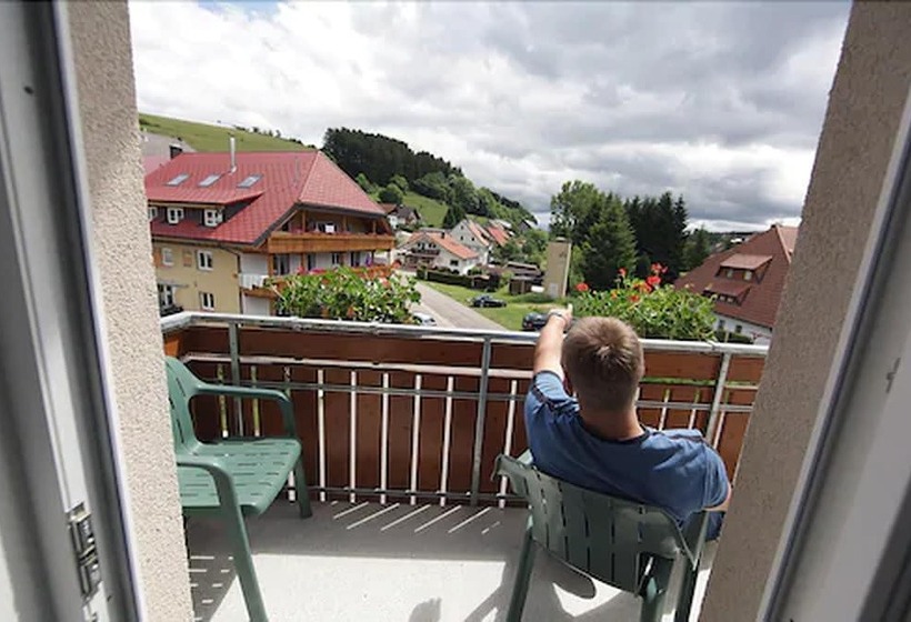 Номер Комфорт, Restaurant Schworer