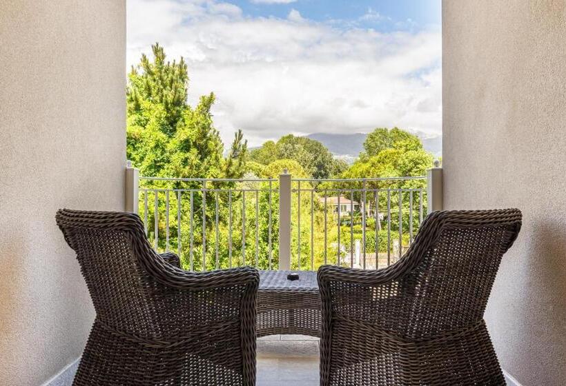 Люкс, Stella Della Versilia