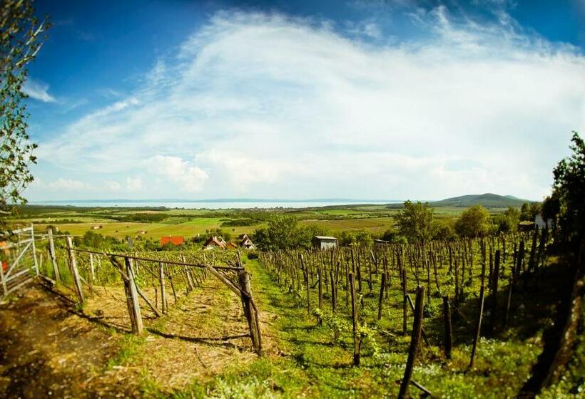 Quarto Estandar, Jókai Villa