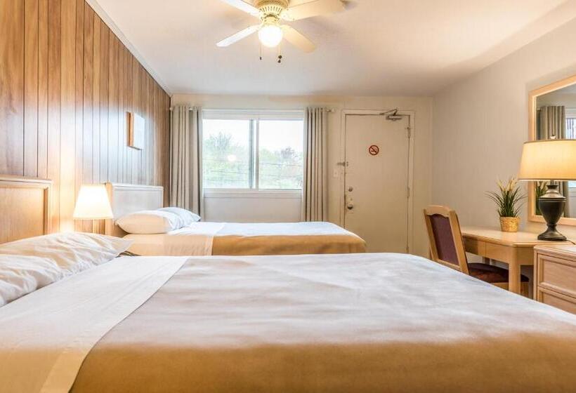 חדר סטנדרט שתי מיטות זוגיות, Lake City Motel