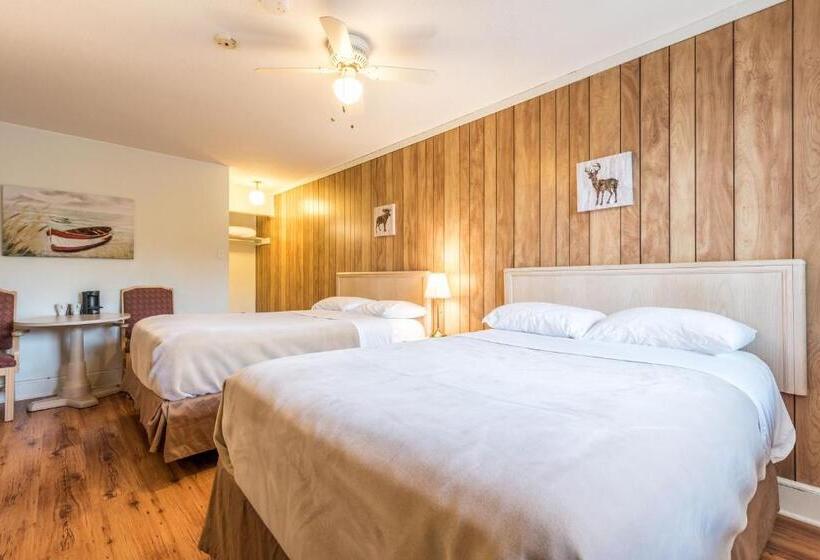חדר סטנדרט שתי מיטות זוגיות, Lake City Motel