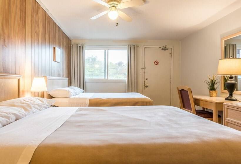 חדר סטנדרט שתי מיטות זוגיות, Lake City Motel