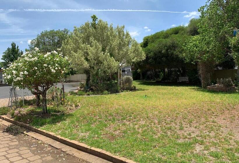 חדר דחוקס עם מיטת קינג, Orana Windmill Motel