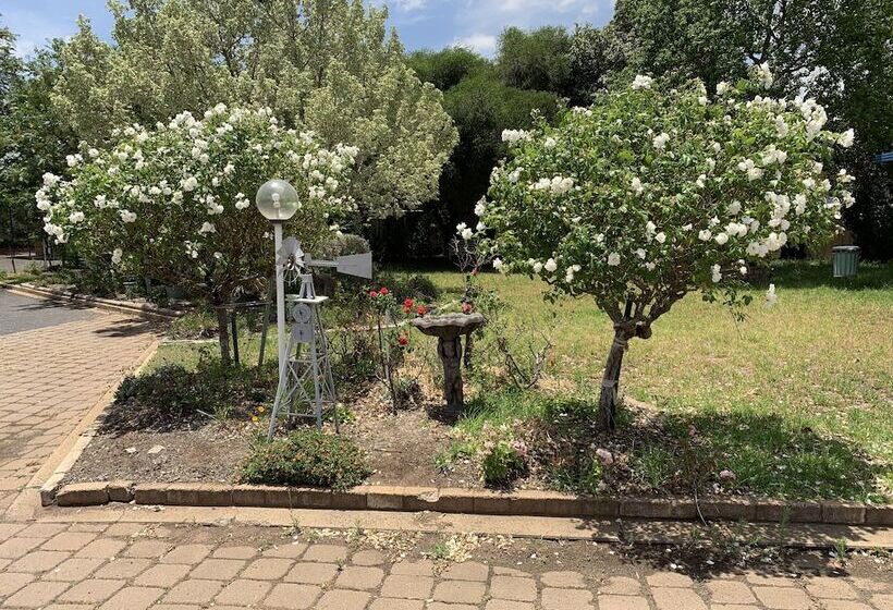 חדר סטנדרט, Orana Windmill Motel