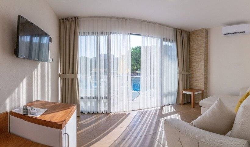 Номер Стандарт, Ponz