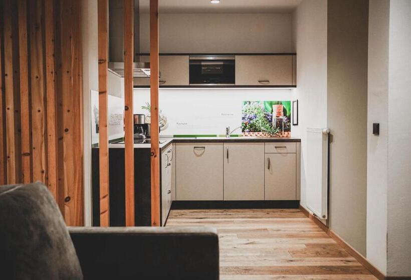 דירת שני חדרים, Sporthotel Zoll