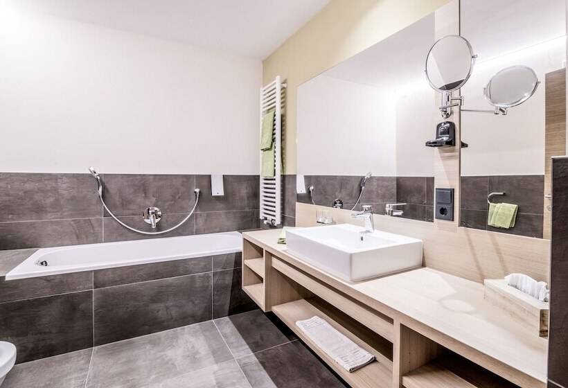 דירת שני חדרים, Sporthotel Zoll