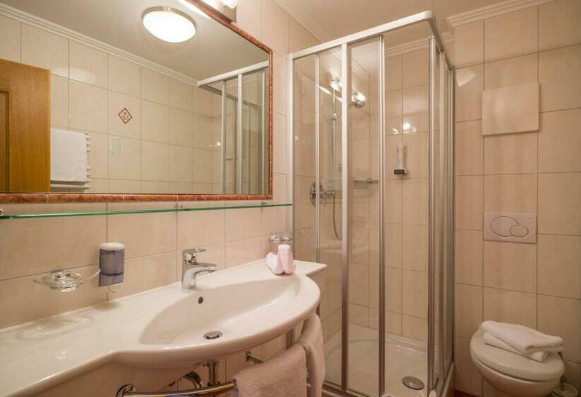 חדר סטנדרט, Appartement Hotel Garni Matthäuserhof