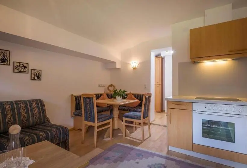 آپارتمان 1 خوابه با چشم‌انداز, Appartement Hotel Garni Matthäuserhof