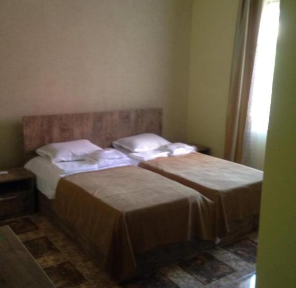 اتاق اکونومی, Naziti House