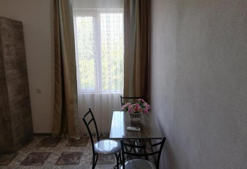 اتاق اکونومی, Naziti House