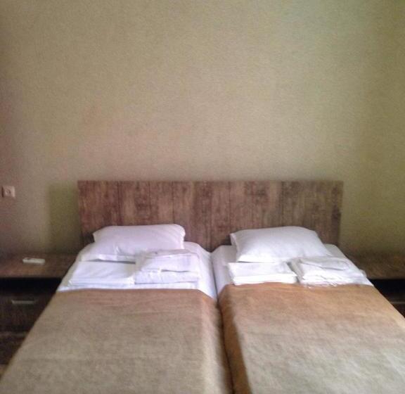 اتاق اکونومی, Naziti House