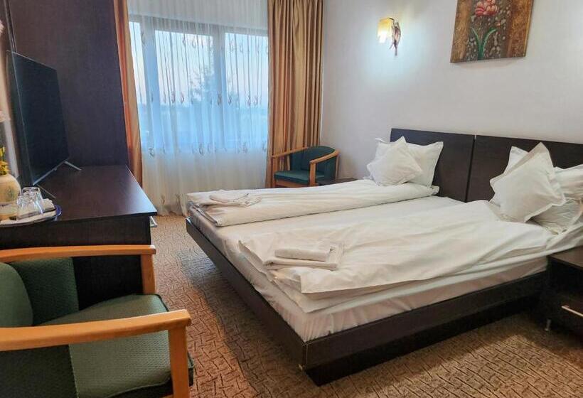 غرفة قياسية, Pensiunea Emma